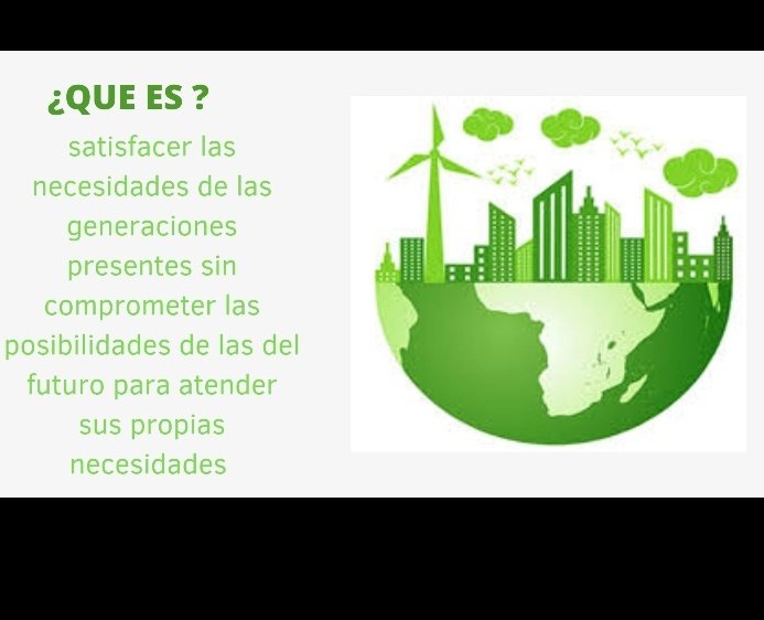 alejandra rivera tweet media