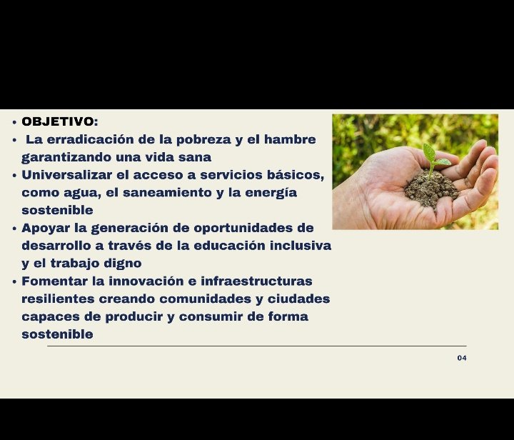 alejandra rivera tweet media