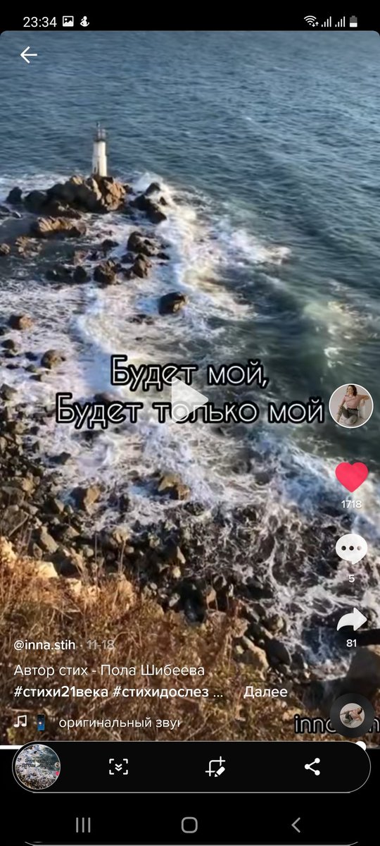 🦈акулка из IKEA (@bybildo4ka) on Twitter photo 