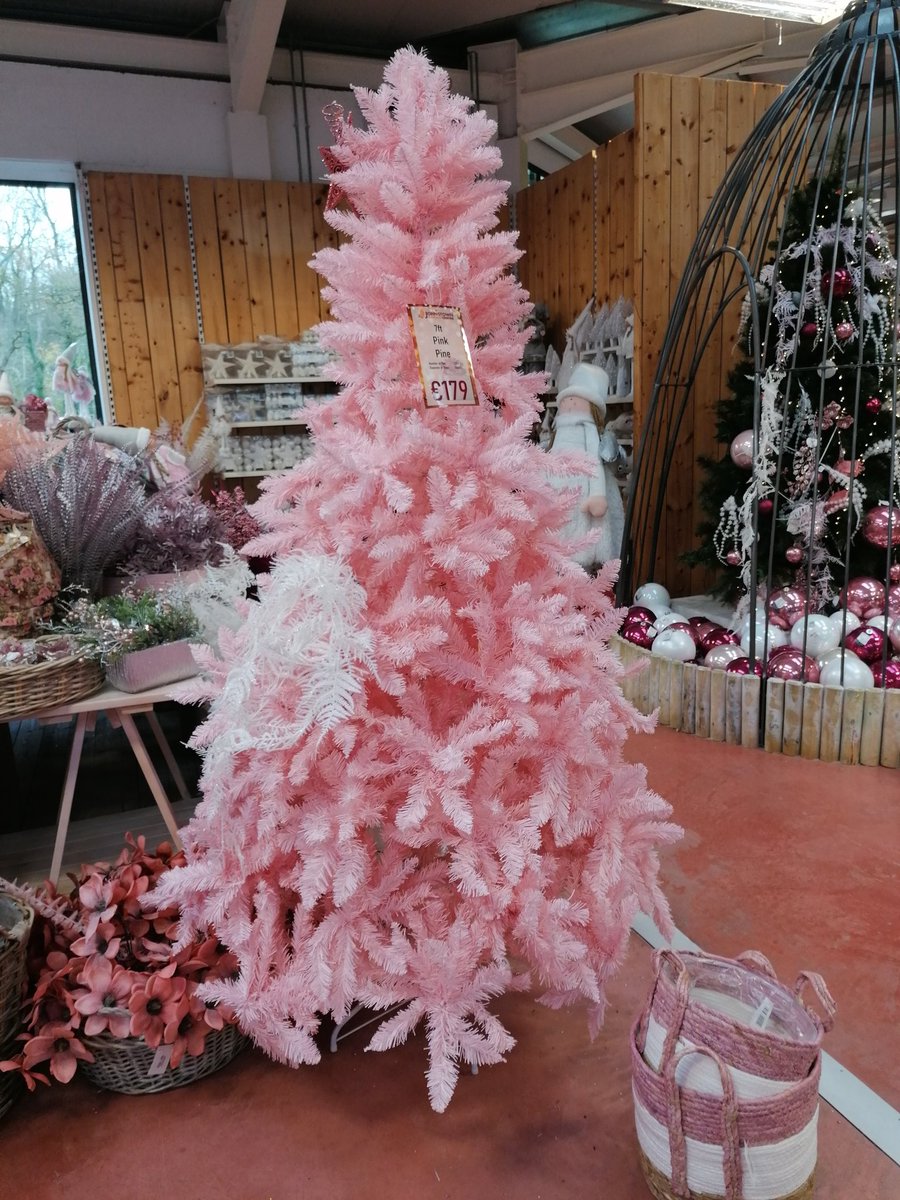 FOS_Images's tweet image. Pretty in pink. Xmas tree upgrade shopping today, you won't find the like of that up the Dublin mountains. #xmas #ChristmasTree #pink #seasontobejolly #johnstowngardencentre