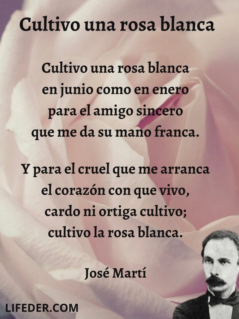 #AmorALaPoesía