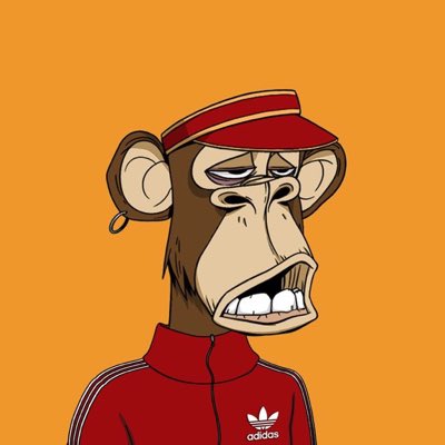 SlabberDan's tweet photo. Some #serviceape swag.
๐ Courtesy of @Pizza_Later & @adidasoriginals
#BAYC #NewProfilePic https://t.co/ySSZvMb9y3