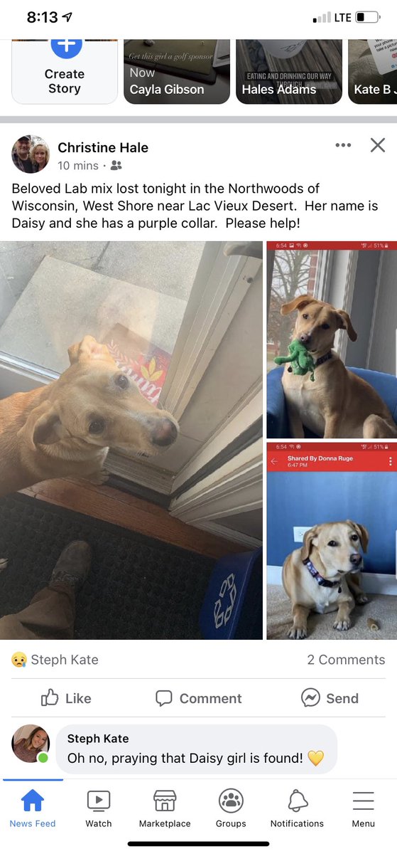 Victoria Ruge tweet media