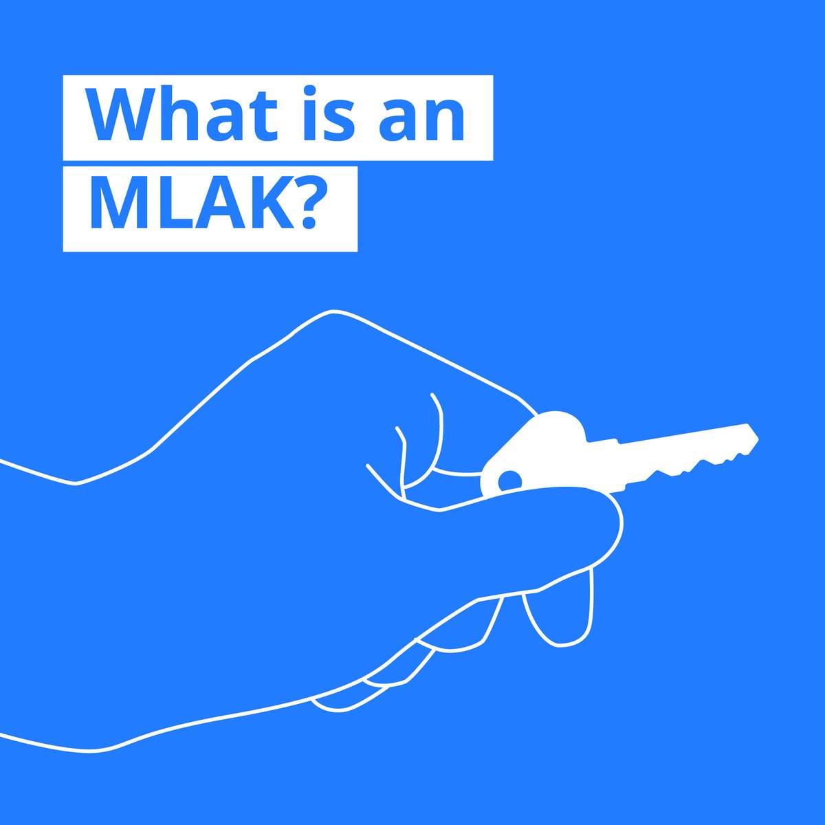 ChangingPlaceAU's tweet photo. The Master Locksmiths Access Key (#MLAK) is a system that uses a universal lock and key to allow people with disability to access dedicated public facilities including #ChangingPlaces toilets and Liberty Swings 24 hours a day.
To learn more visit: https://t.co/ECKkKIIvuS https://t.co/w5FITP9o2w