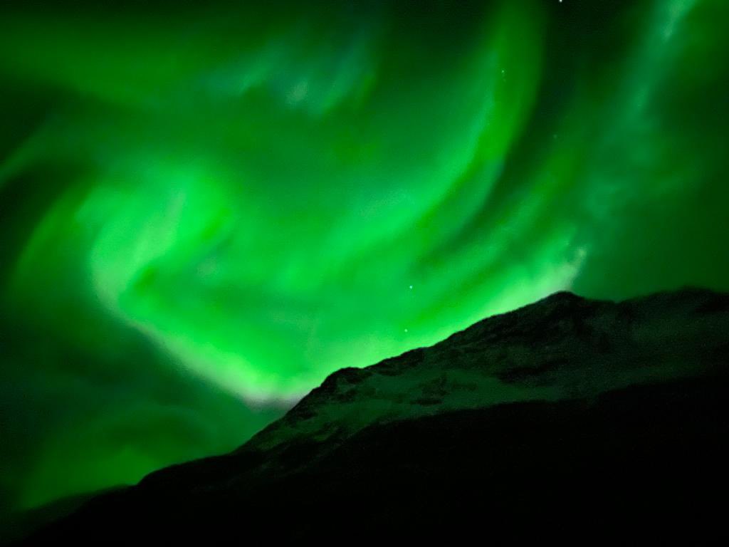 larissabndsn's tweet photo. 📍Storfjorden, Norway 🇳🇴😍 https://t.co/HrLTJSI22o