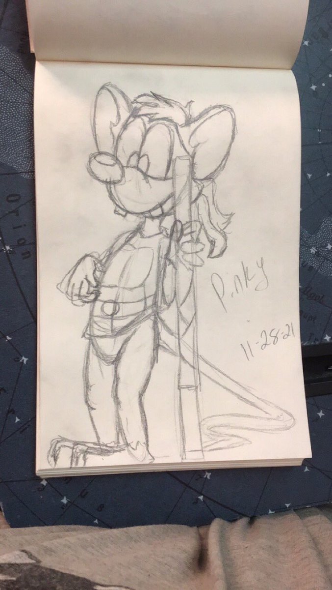 bzz_boi's tweet image. Here’s pinky dressed as Donatello since they are from my two favorite shows ever and both are voiced by my favorite actor @yakkopinky