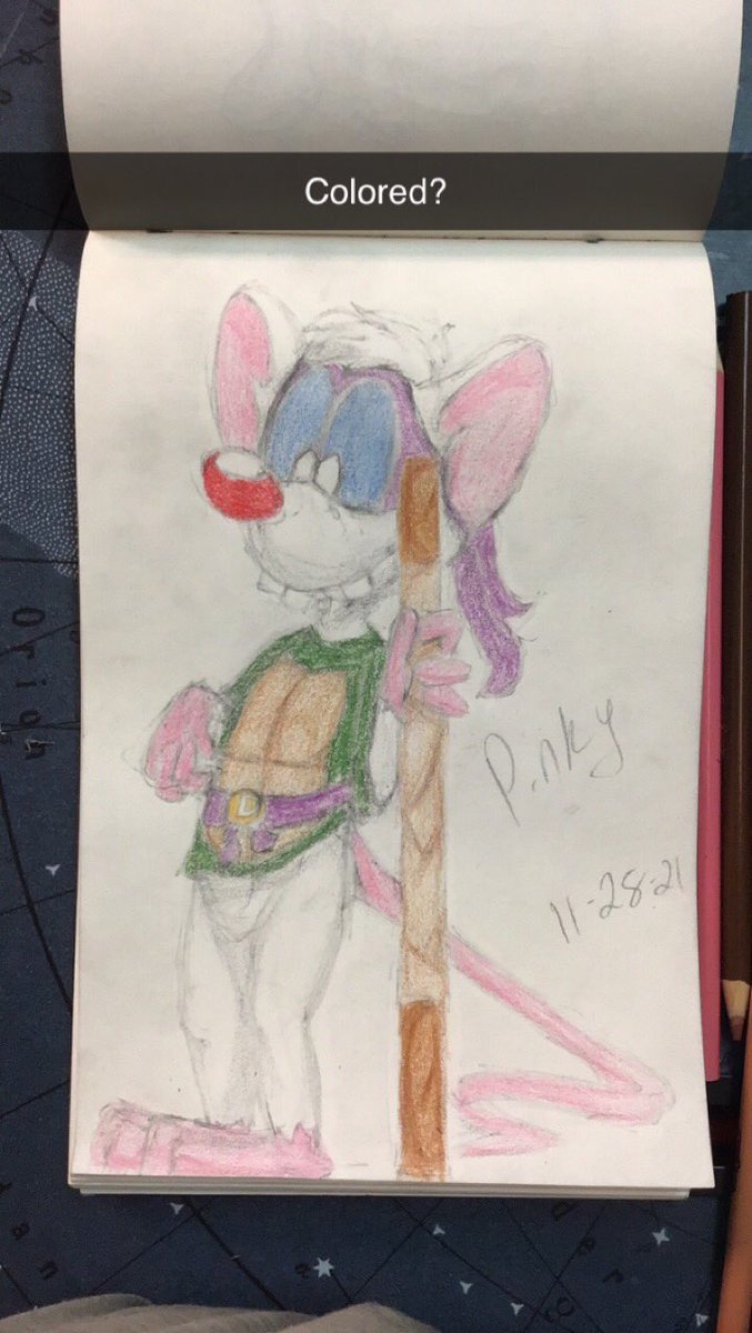 bzz_boi's tweet image. Here’s pinky dressed as Donatello since they are from my two favorite shows ever and both are voiced by my favorite actor @yakkopinky