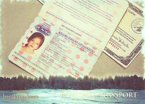 Muchos no sabrán el motivo de mi @ pero en la película, salió el pasaporte de Renesmee como Vanessa Wolfe y tenía que usar eso.