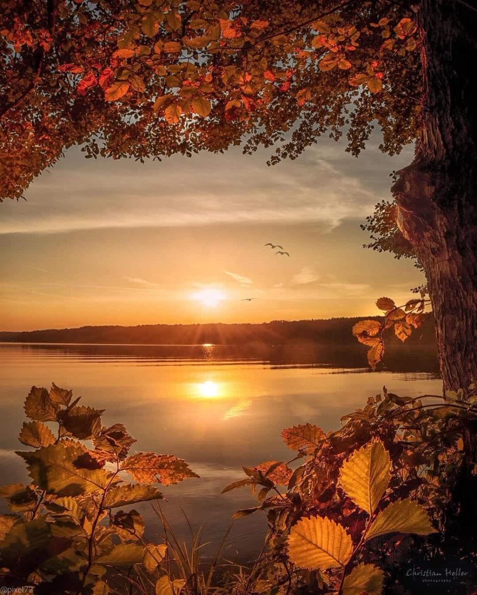 GrenadaHash's tweet image. Have a wonderful week, stay safe.