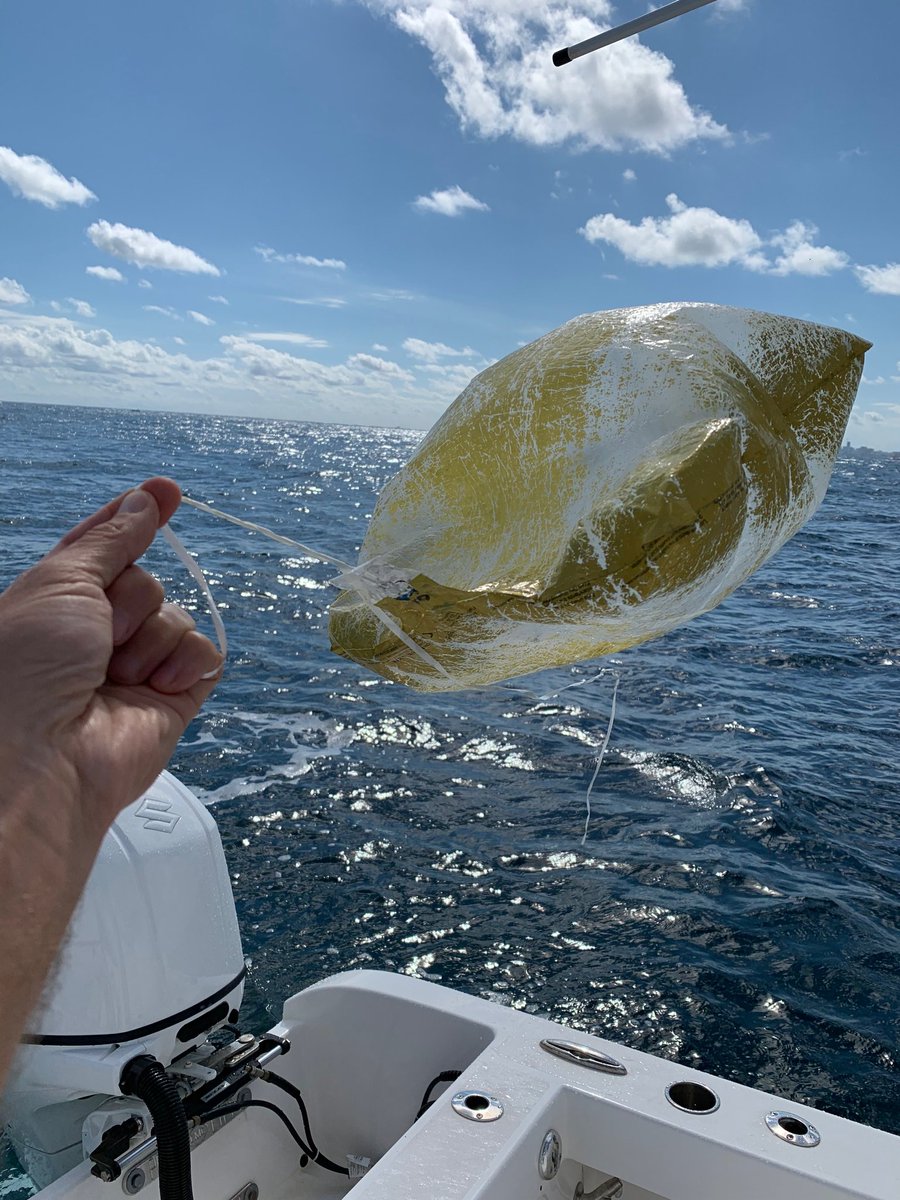 All #balloons released will return to #earth. This creates deadly debris that can harm #wildlife. Remember, #balloonsblow #balloonsblowdontletthemgo