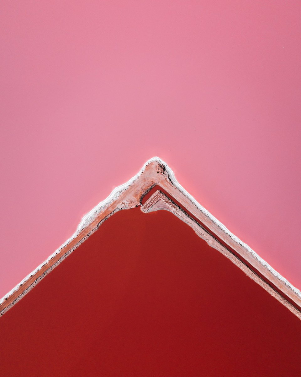 Lola Hubner tweet media