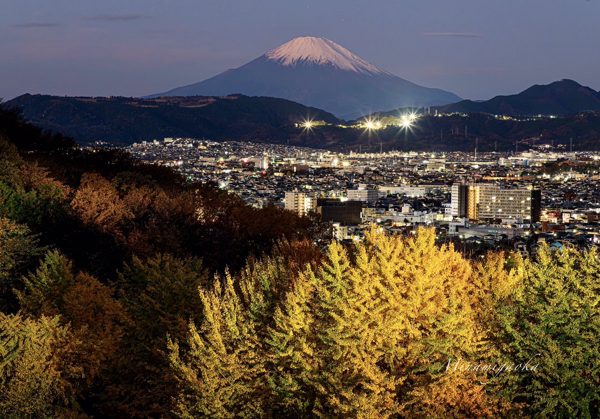 おはようございます。 連日の地元の銀杏撮影です。 今朝は夜明け前から夜景と一緒の撮影でした。 貸切で車のヘッドライトでライトアップしてます。 美しい夜景とライトアップされた黄金色の銀杏が綺麗で