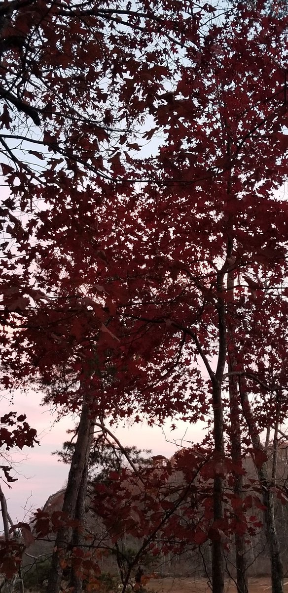 BJOwrites's tweet photo. I haven't written yet today, but I went on a 15-mile walk with my good friend @jessieclodfelt2 and got these amazing sunset shots and now I'm all inspired #writeinspired #ChasingSunsets https://t.co/Ok4Tcaca8h