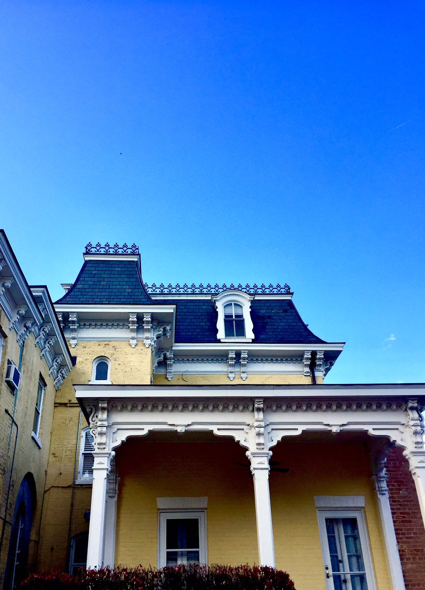 HobanGirl's tweet photo. #Architecture on #CameronStreet #OldTown #Alexandria and brilliant late-November blooms that resiliently (and regally) persist despite gales and frosts. #iris and the perfect yellow #rose at #ChristChurch #aslongasthesunshines https://t.co/Qh9G5QeseU