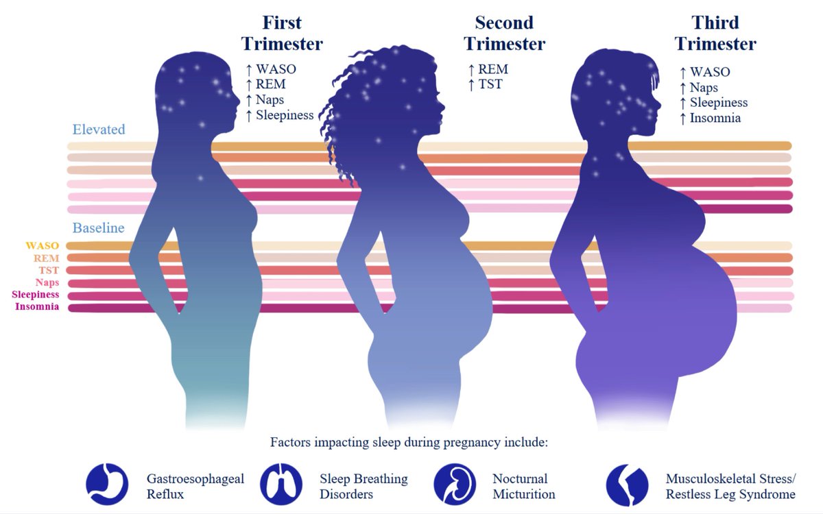 More reasons to be grateful: our review on pregnancy and contraception in central hypersomnolence disorders just got published! And it features my first ever medical illustration! <a href="/NancyFoldvaryDO/">Nancy Foldvary-Schaefer, DO, MS</a> 
rdcu.be/cB38b
