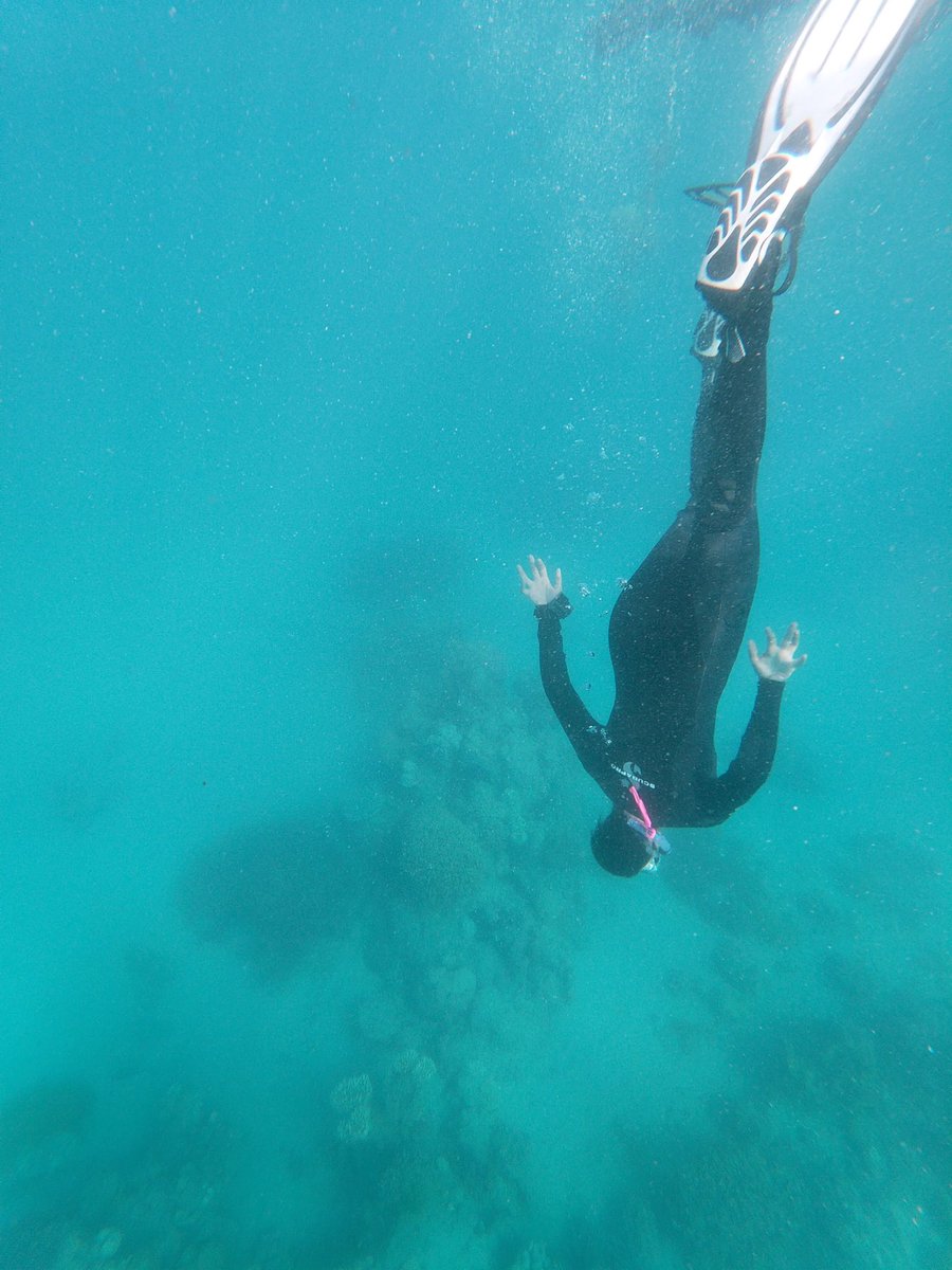 SquidneyAddison's tweet image. Hey everyone!! 👋🏽 My name is Sydney and I am SO excited for my first #BIMSWeek. I’m a first-year Coastal Environmental Management student at @DukeEnvironment and love just about anything relating to the ocean, but especially #sciart and environmental education! #BIMSRollCall