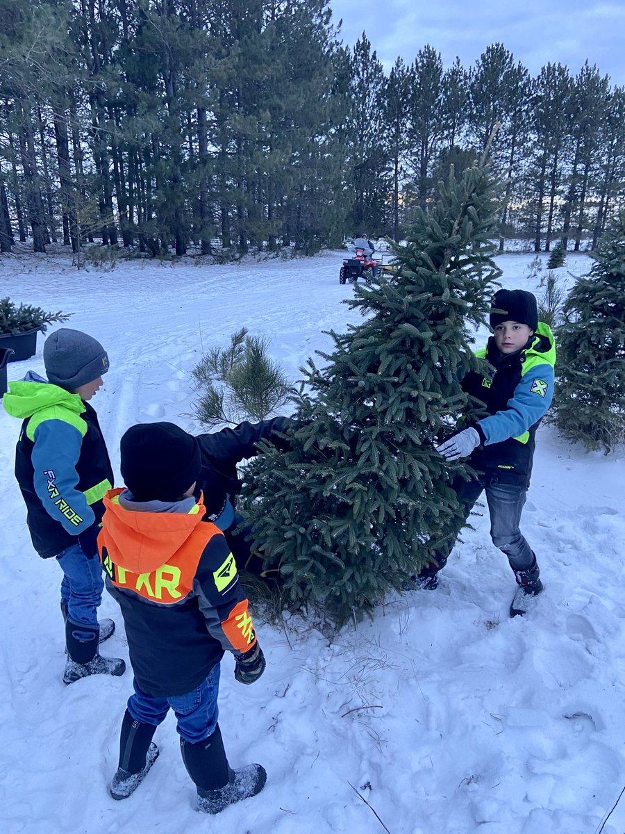 Haugen Family Farms HaugenFamFarms Twitter Profile Sotwe