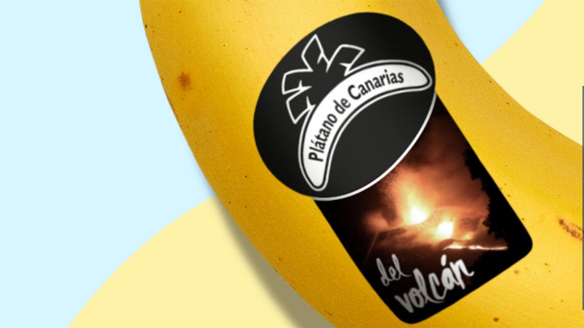 juanluisrecio's tweet photo. De cara a que nos animemos a apoyar al sector del #plátano de #Canarias en estos momentos, contamos que Agr Food Marketing  aportó solidariamente al sector la idea de utilizar el negro para diferenciar a los plátanos de La Palma https://t.co/3Jlt2RuiDG @AgrFoodMKT https://t.co/umNJF9GnNe