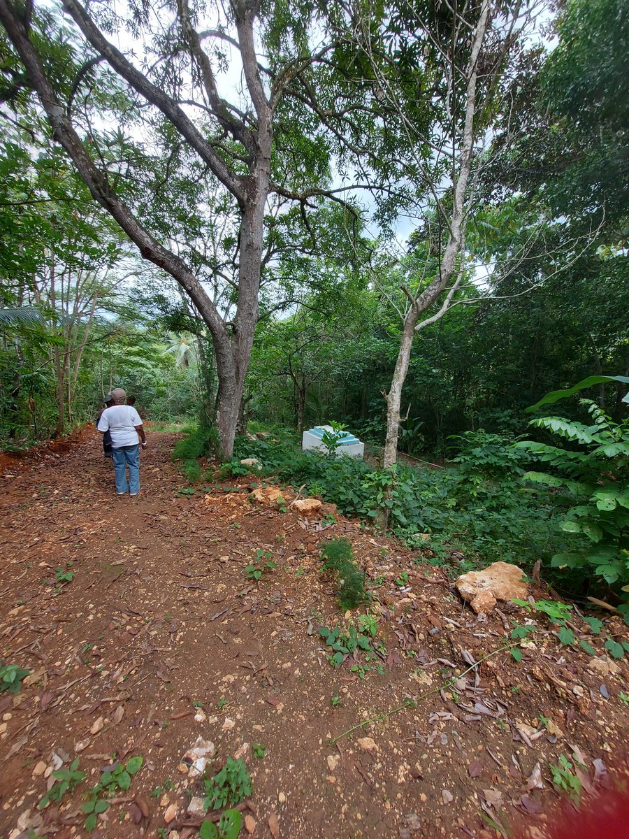 Musufing tweet media