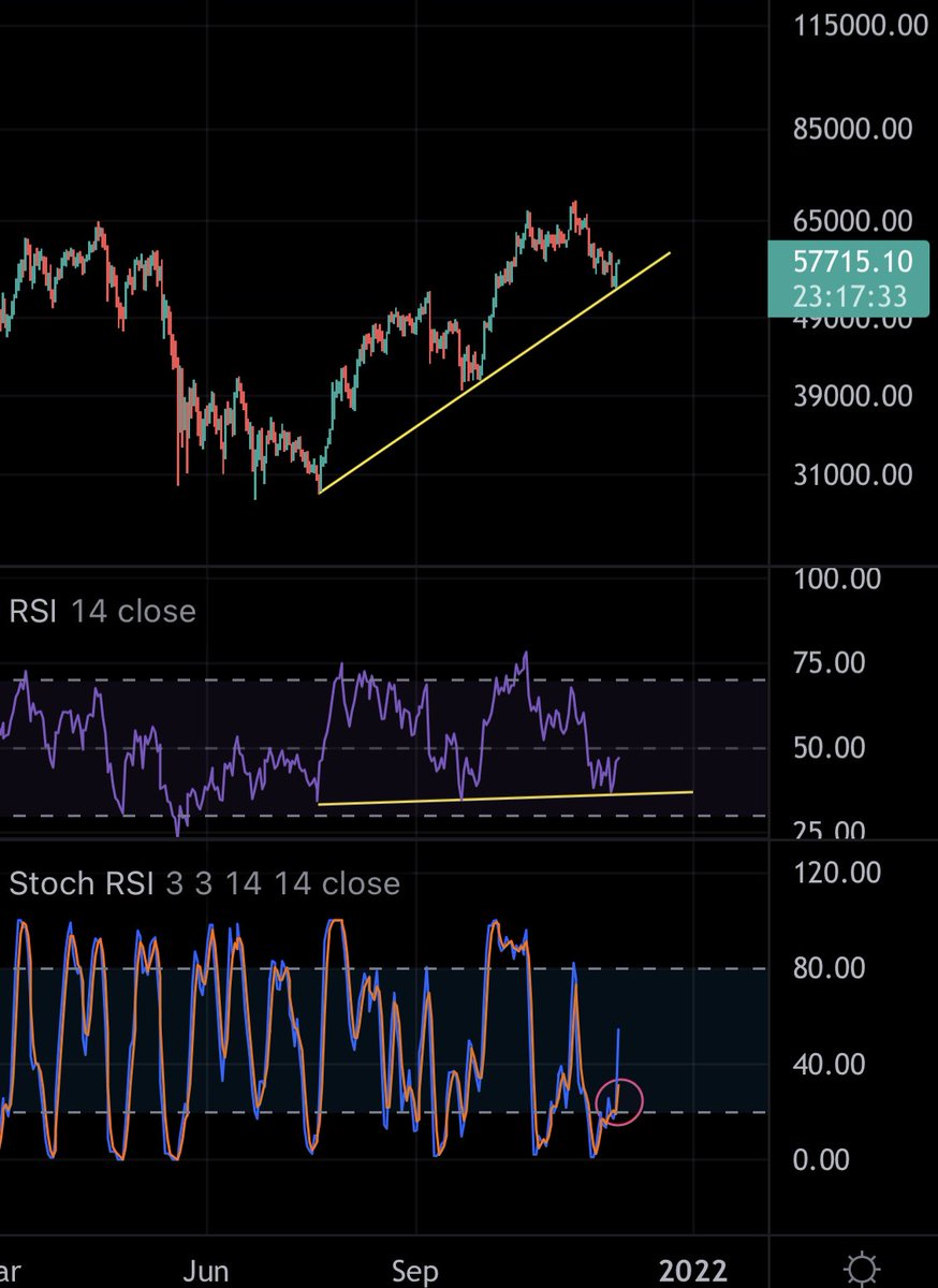 BTC daily stoch RSI bullish cross over 20 with RSI reset to 40K levels, and  30K levels before that.