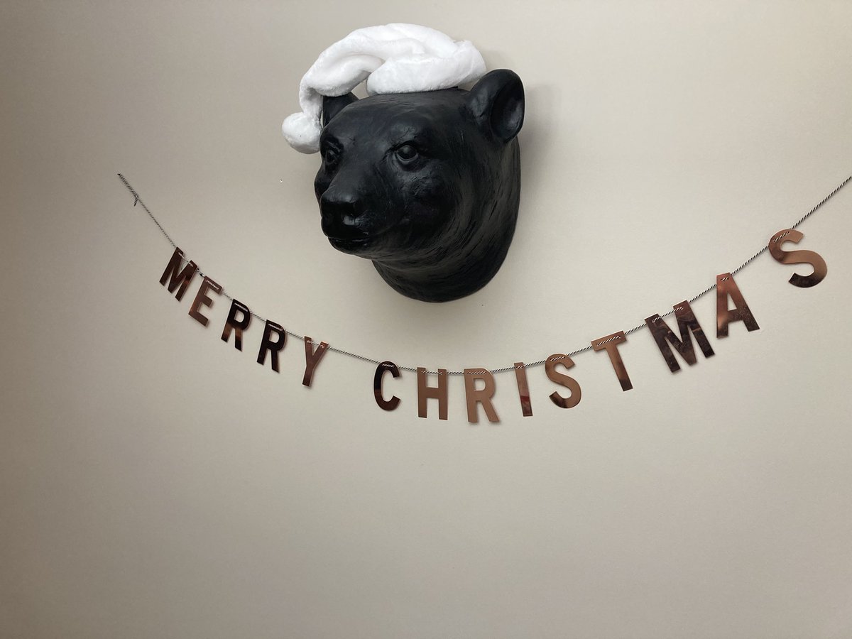 TomBDickerson's tweet photo. Holiday bair is ready for holiday stuff.  Say hello to holiday bair! https://t.co/6k5oyIt6TL