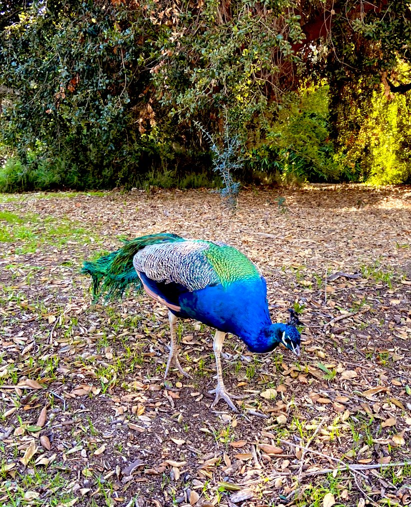 glo7ia's tweet photo. Nice little Sunday stroll. https://t.co/jQZ3LuryO8