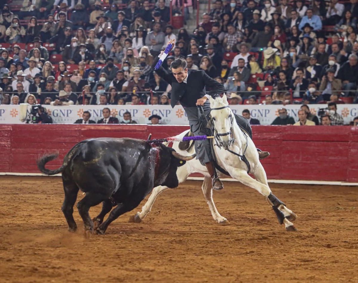 LaPlazaMexico's tweet photo. ¡Resultados del tercer toro correspondiente a @fauro_aloi ! 
•Vuelta al Ruedo. 

Galería en link ➡️ https://t.co/lLKWaJ7ENX

#CorridaDeRejones  #LaReapertura #LaMexico https://t.co/RykJdUyEc9