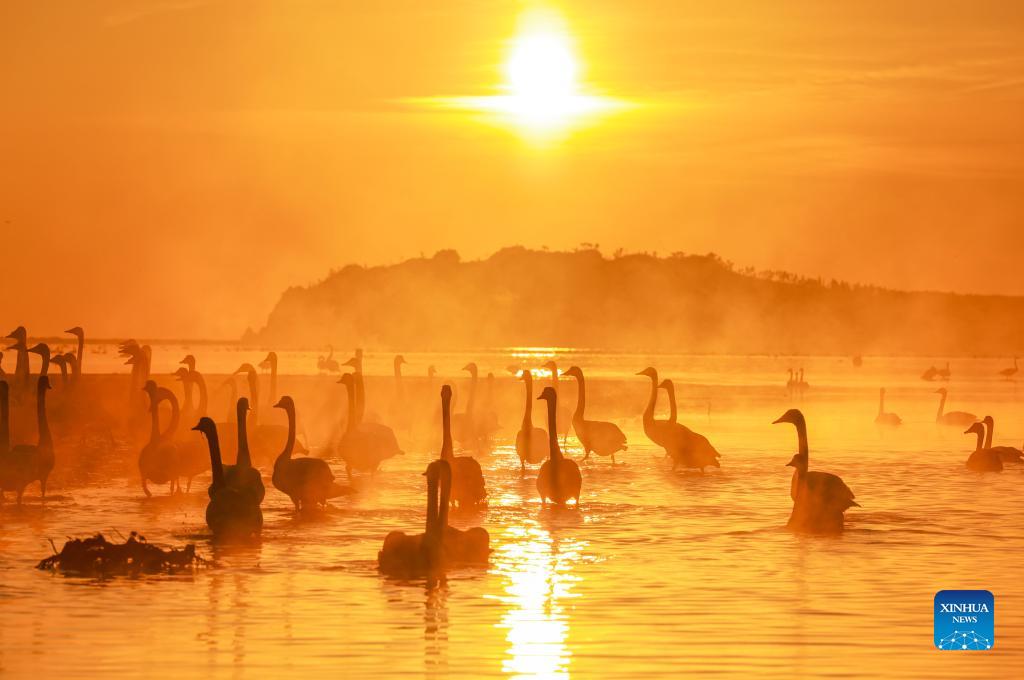 Beautiful China tweet media