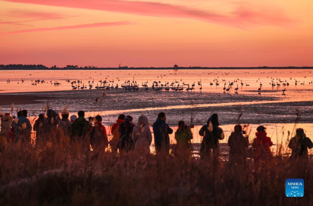 Beautiful China tweet media