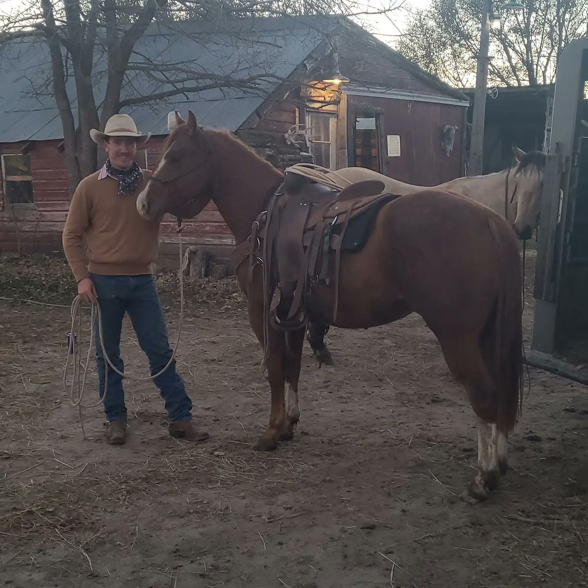 clancy walthers tweet media