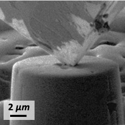 Christos E. Athanasiou tweet media