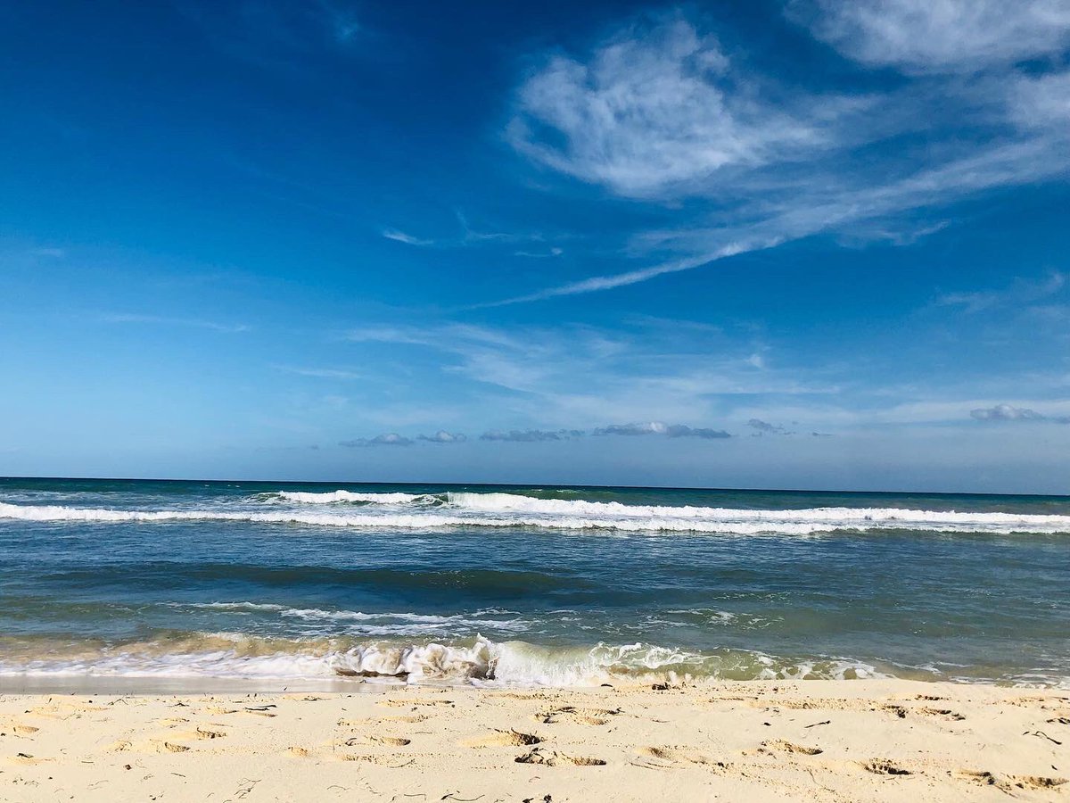 mgallardo94's tweet photo. #Tulum 😍🍻 https://t.co/aHJfJmvxqb