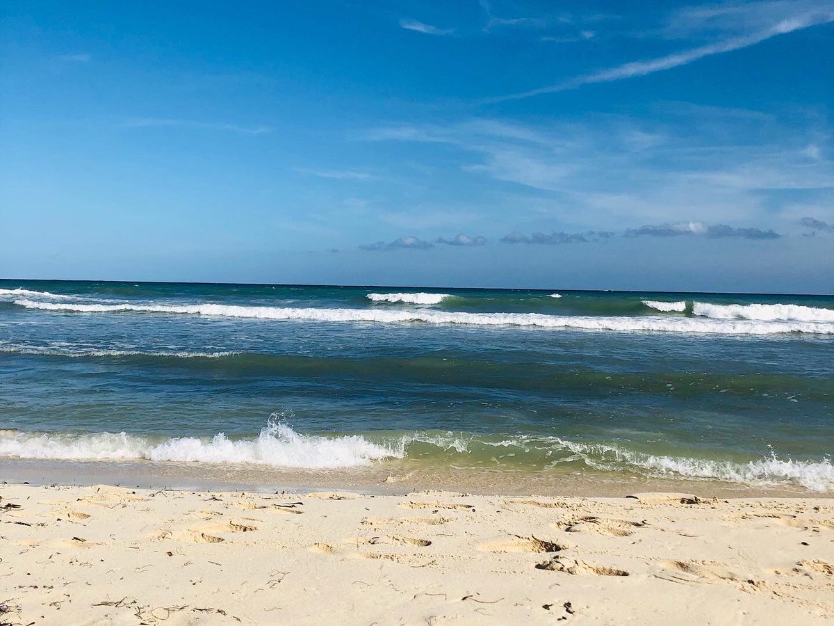 mgallardo94's tweet photo. #Tulum 😍🍻 https://t.co/aHJfJmvxqb