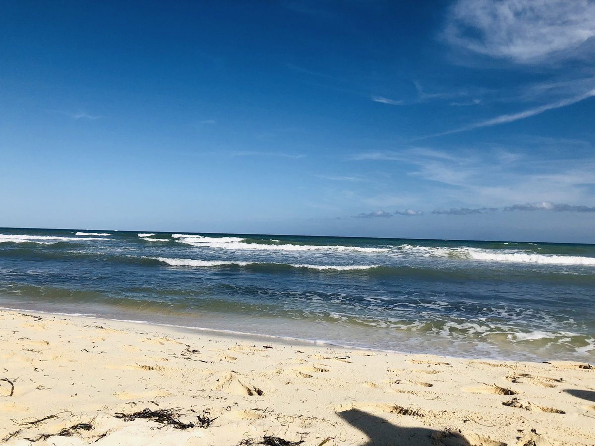 mgallardo94's tweet photo. #Tulum 😍🍻 https://t.co/aHJfJmvxqb