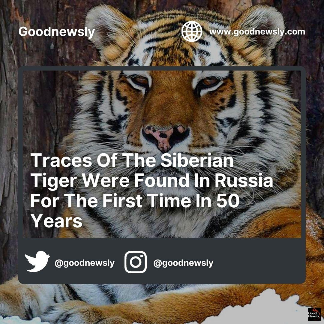GoodNewsly - Impactful good news on Twitter: GoodNewsly - Impactful good news on Twitter: