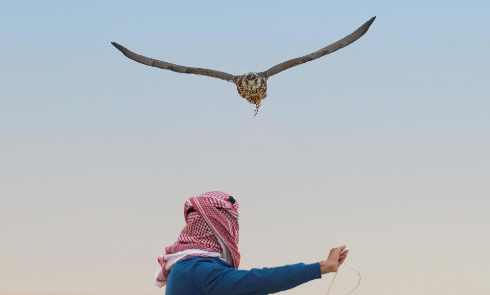 Arab News on Twitter: Arab News on Twitter: