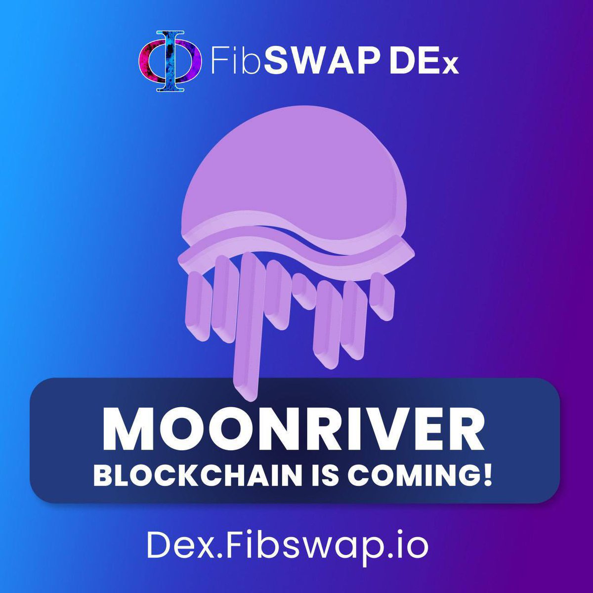 hermitthefob1's tweet photo. new generation of #bridge #swap is here. @FibSwap DEX #fibo bridged #blockchains and allow bridge swap between them. 5 ( #eth #bsc #polygon #fantom #arbitrum ) blockchains swapping is LIVE and 9 at end of the month. ios APP end of the year. https://t.co/RsFOjupXlF https://t.co/0D6rqls1Z7