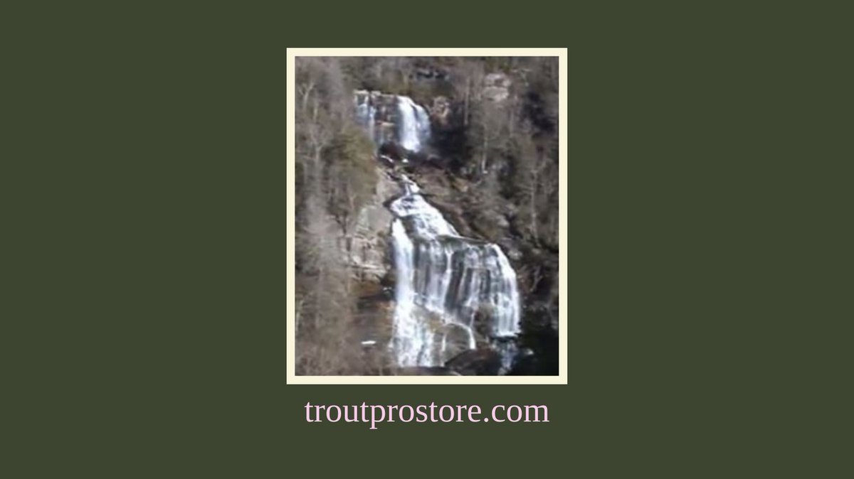 TroutProStore's tweet photo. What is the smallest fish you have ever caught?

#troutpro #waterfall #nature https://t.co/7BdyVaiRVD