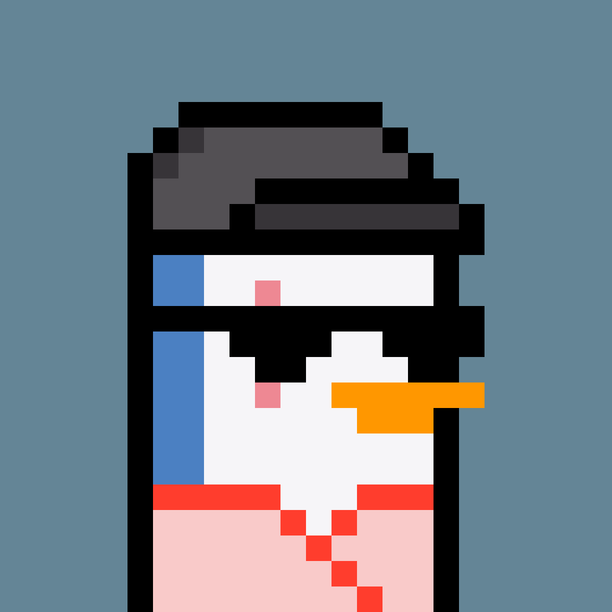 crypt0w1l's tweet photo. Uh oh! big purchase tonight, had to jumped in the @peskypenguins gang #NOOTNOOT https://t.co/fXEFOZTmYU