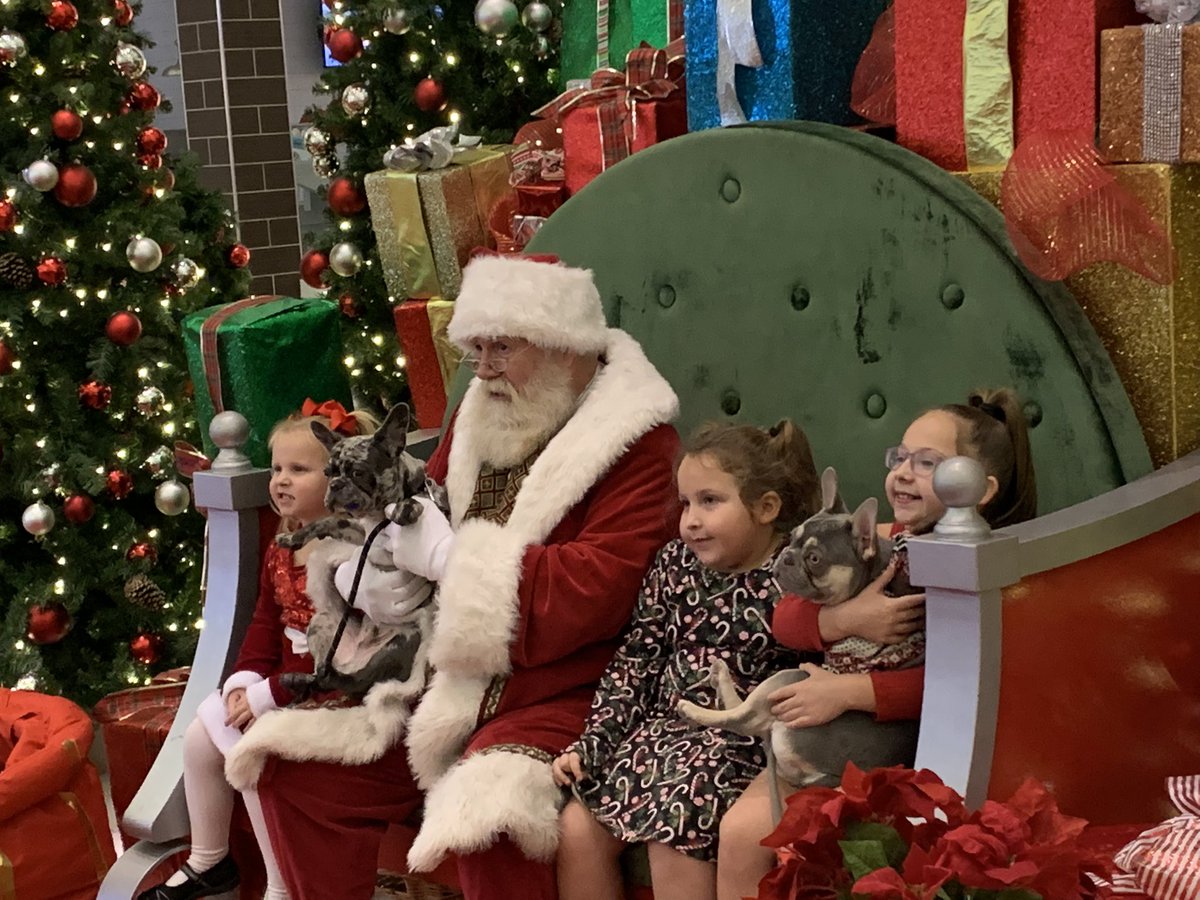 GreatNorthernOH's tweet photo. Thanks to everyone who came out to our first Pet Photos with Santa 🎅 presented by @neorsd Lots of smiles, a couple barks and tons of fun.  

#neorsd #greatnorthernoh #santa #petphotoswithsanta  #pacificretail https://t.co/Ta1iePpd1T