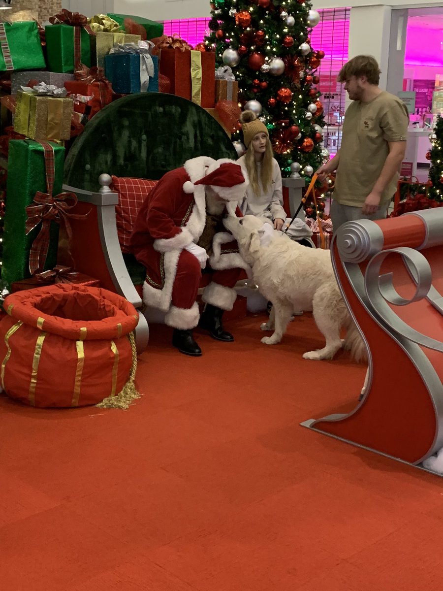 GreatNorthernOH's tweet photo. Thanks to everyone who came out to our first Pet Photos with Santa 🎅 presented by @neorsd Lots of smiles, a couple barks and tons of fun.  

#neorsd #greatnorthernoh #santa #petphotoswithsanta  #pacificretail https://t.co/Ta1iePpd1T