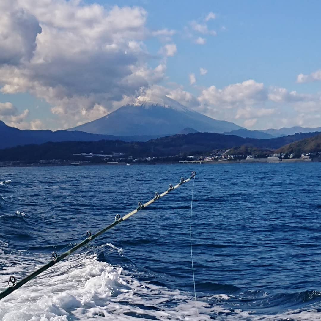 yukiy2016's tweet photo. 先週末、良い天気の中での釣り。
鯵がたくさん釣れました。

1日干した、干物も完成しました。 https://t.co/m37bpQB29q