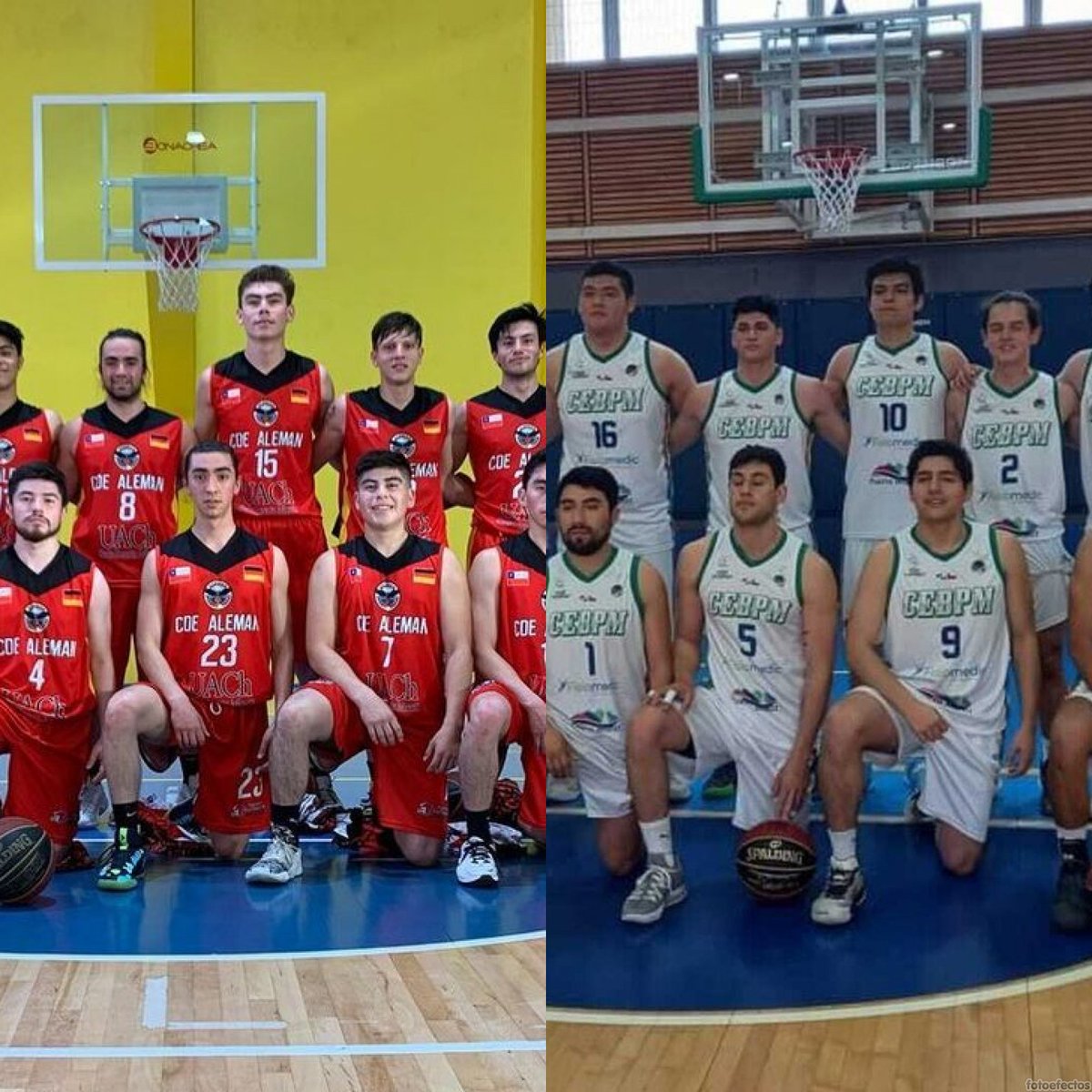 RadarAustral's tweet image. Club Deportivo Escolar Alemán de Puerto Varas y CEB Puerto Montt finalistas de la zona sur de la LDD.
Revisa la nota aquí👇
➡️bit.ly/3EhzSJ7
📸Club Deportivo Escolar Alemán de Puerto Varas/ CEB Puerto Montt