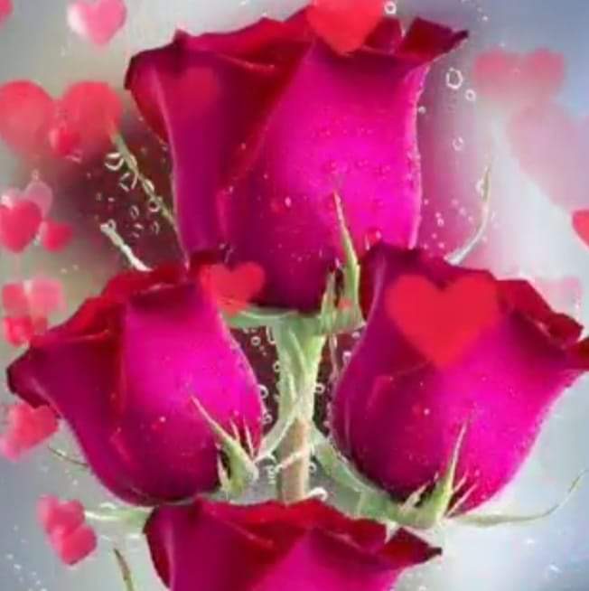 @DH69xXx Mutlu geceler ⚘