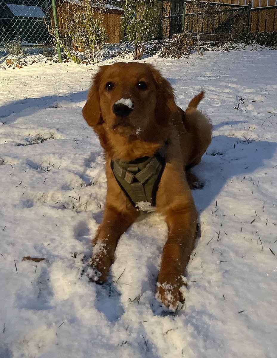 Miss Bowyer tweet media