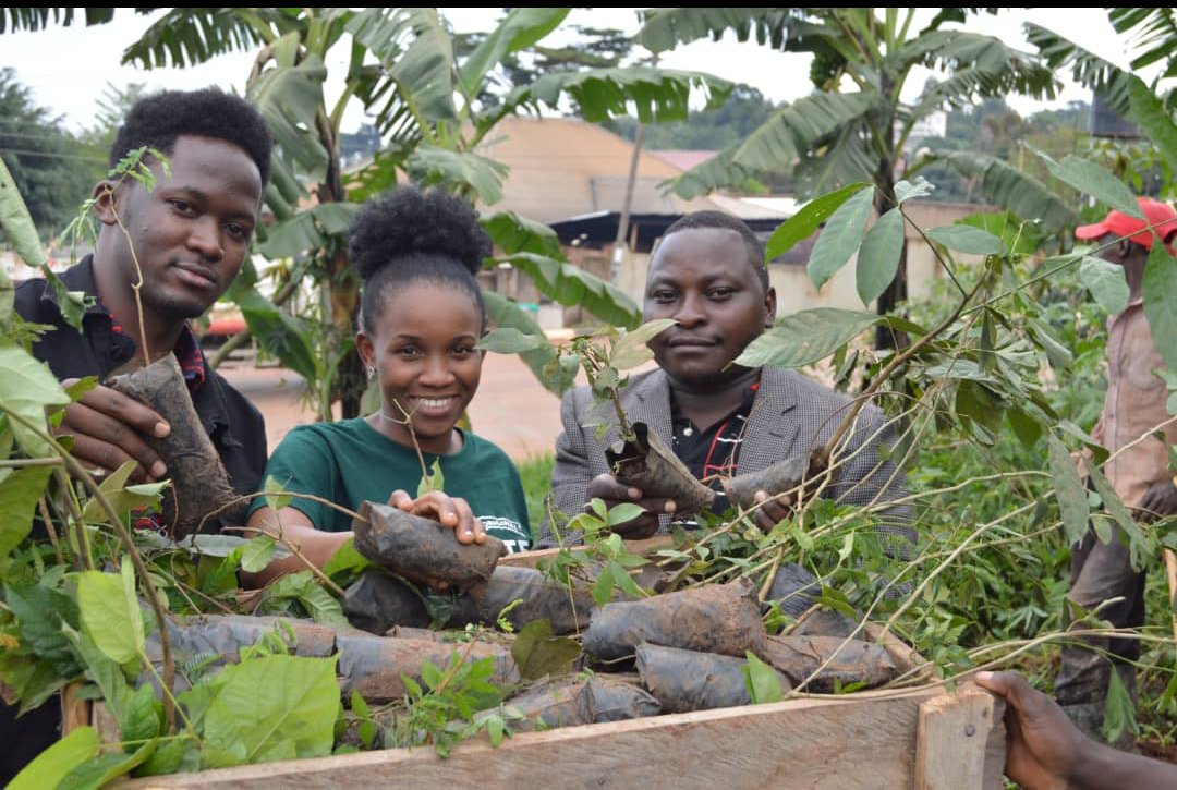 andrew_climate's tweet photo. I have received 150 tree seedlings on behalf of FADECA- Charity from NASACURI to be planted in Mpigi in the fight to mitigate Climate Change.
#ActionsNow #UprootTheSystem
#BigPollutersMustPay https://t.co/5aSQq4y1CZ