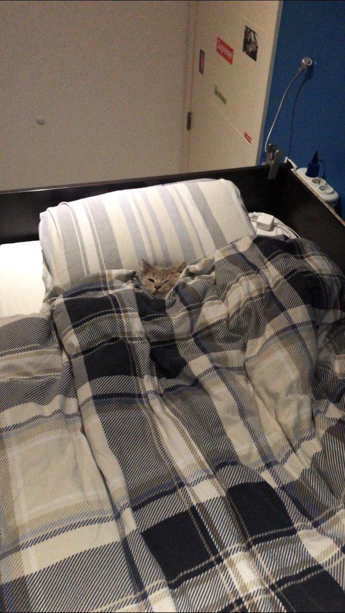 Ging mijn broer zijn kamer binnen en zag dit.