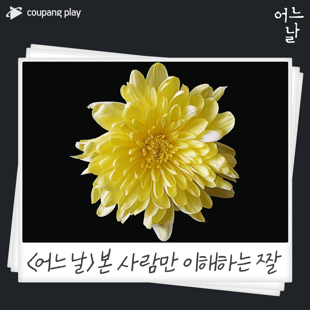 🎬 어느 날 여러분들의 <어느 날> 덕력은? 하드코어 범죄 드라마 <어느 날> 1, 2화 지금 쿠팡플레이에서 시청 가능! 12월 4일, 3화 공개! #쿠팡플레이...