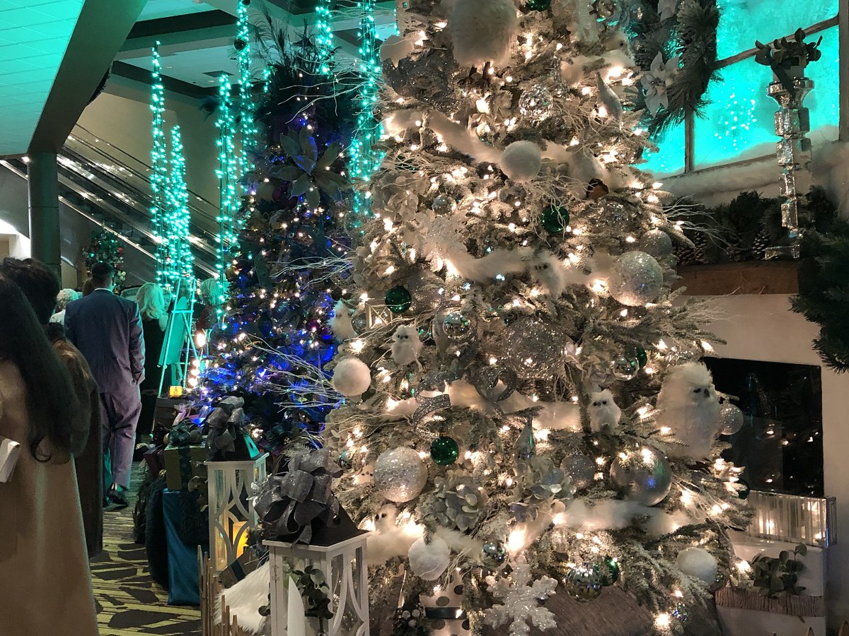 lingometro's tweet photo. Celebrate Christmas in #Idaho by giving to a good cause! At the #SaintAlphonsus #FestivalOfTrees you can donate to community healthcare all while taking in the festive firs! Enjoy! 
#LingoMetro #FunWIthEnglish #WeirdChristmasTraditionsUSA https://t.co/l7UMlMXTj0