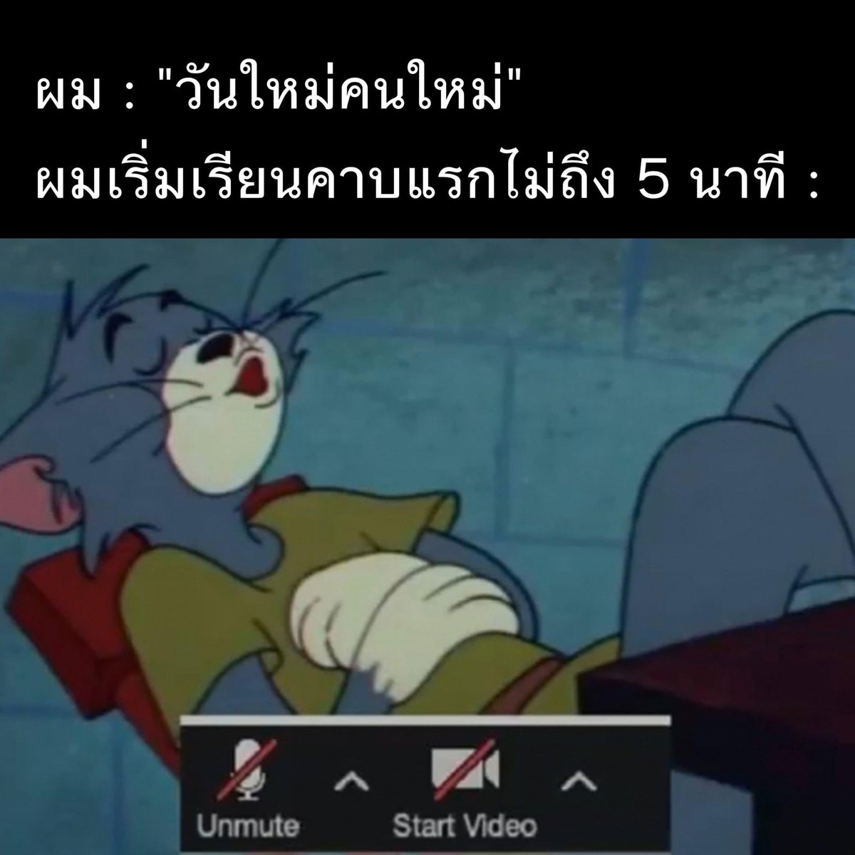 ช่างแม่ง🐰🏳️‍🌈 tweet media